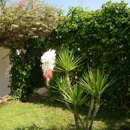 Casa Do Montinho_eco * Paderne (Faro)